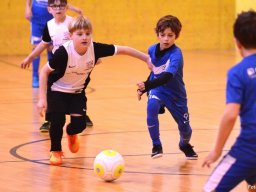 mini-2016-01-30-DSC_4322